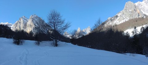 ansabere