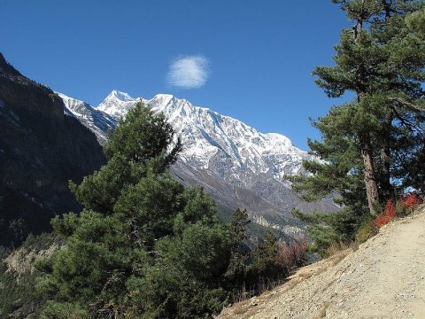 nepal